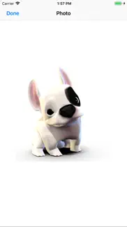 french bulldog animated dog iphone screenshot 2