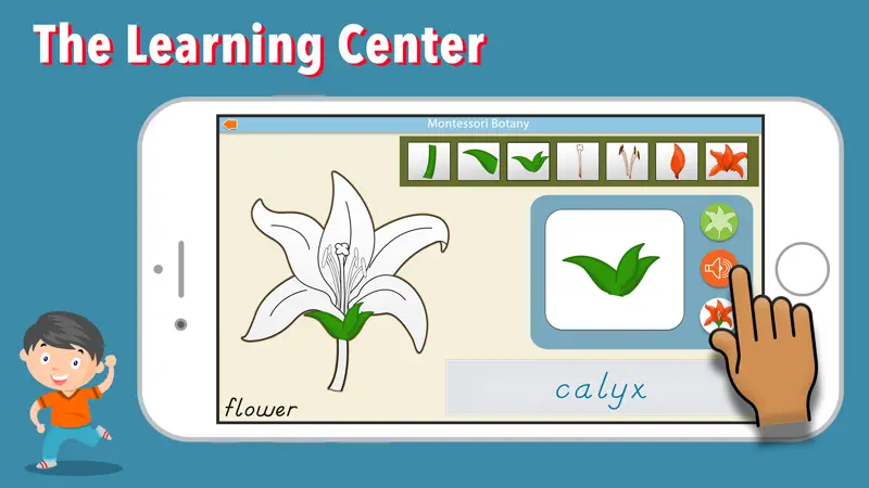 Learn Botany - Parts of Plants screenshot 2 of 9