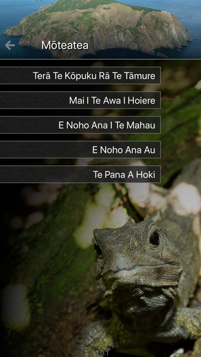Ngāti Koata screenshot 2