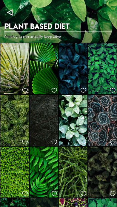 Kuvik Wallpapers iPhone screenshot 4 - Entertainment app