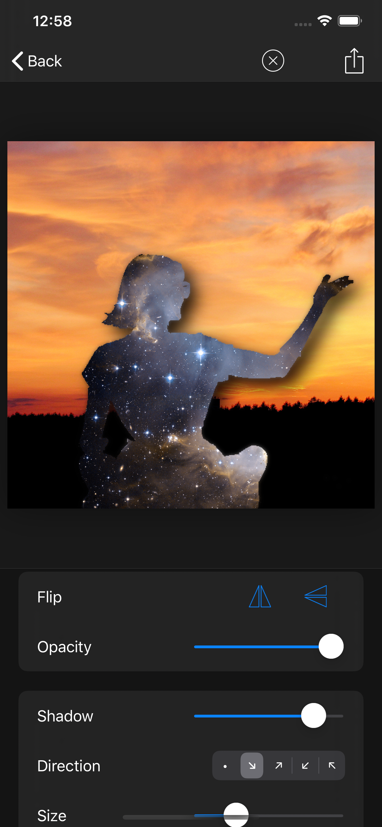 Silhouette Magic screenshot 9