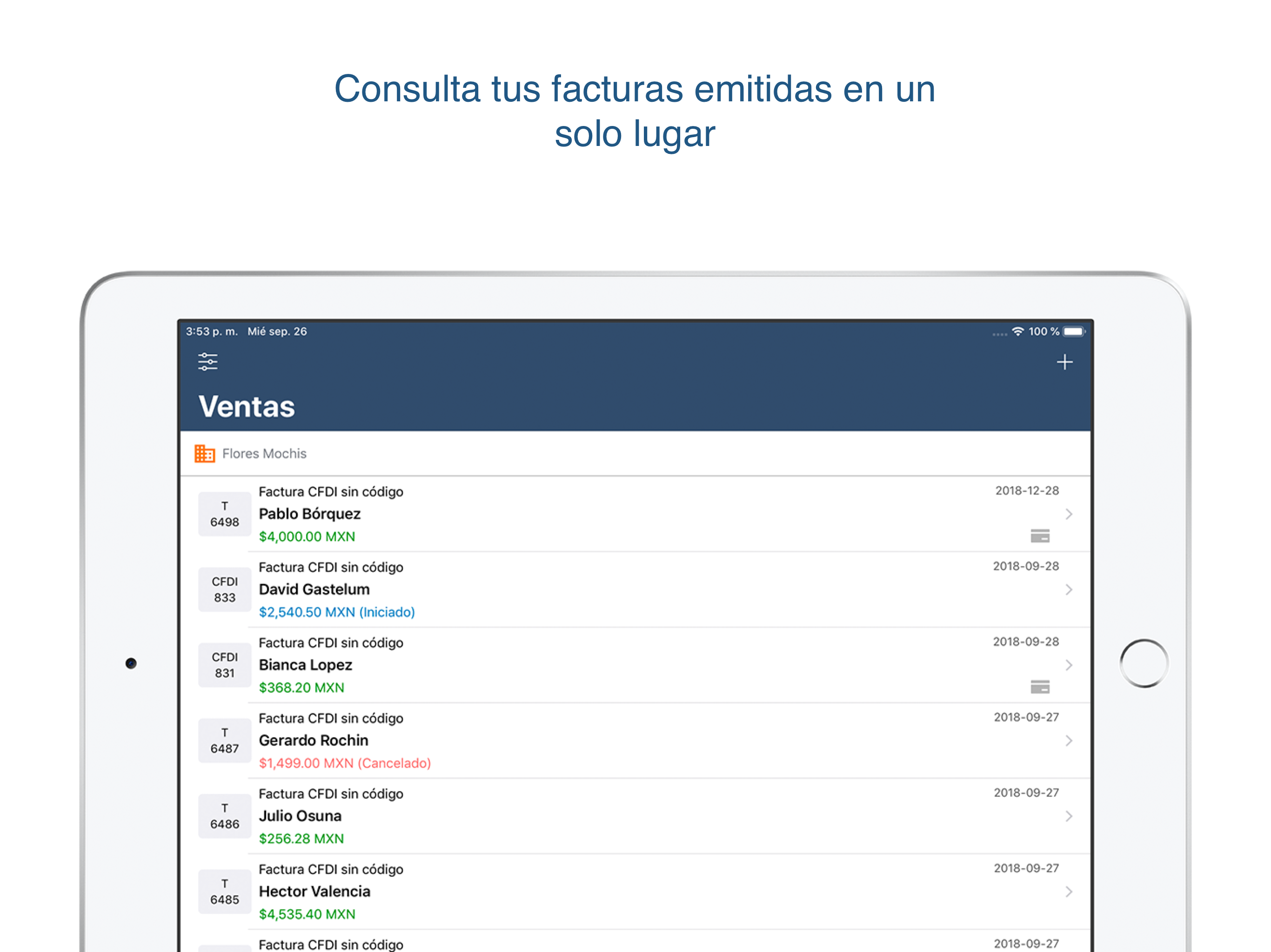 Facturación electrónica screenshot 8