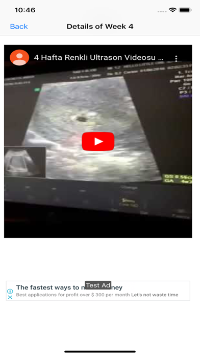 Day by Day Pregnancy Tracker screenshot