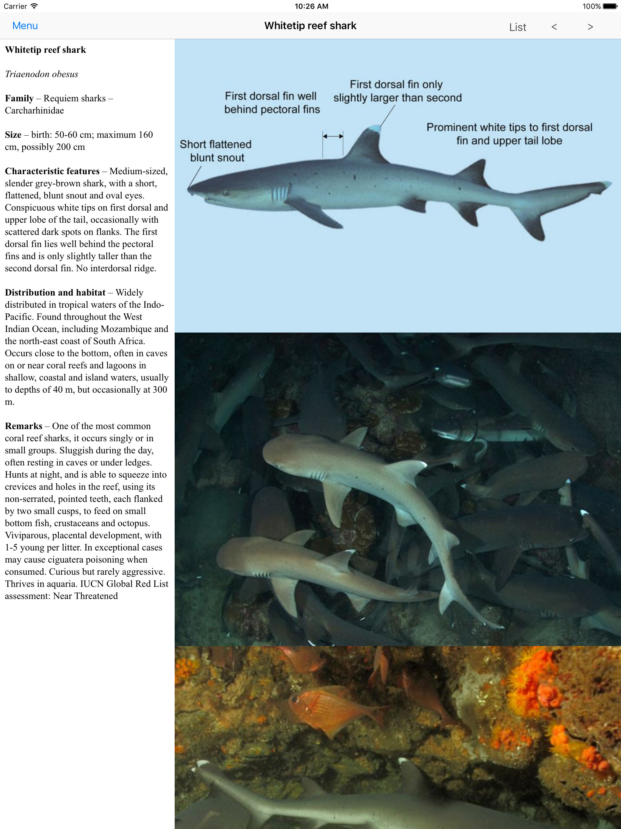 eGuide to Sharks and Rays screenshot 6