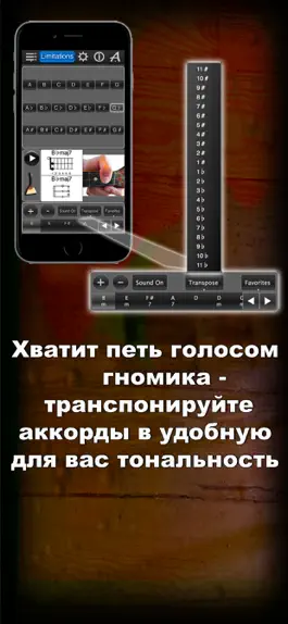 Game screenshot Аккорды для Балалайки лайт LR hack