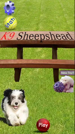 Game screenshot K9 Sheepshead: Schafkopf Cards mod apk