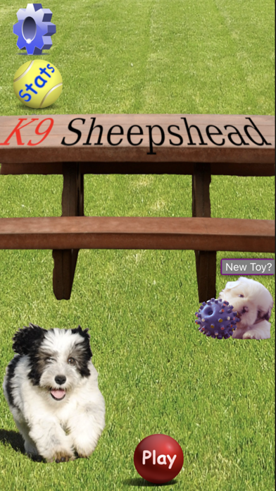K9 Sheepshead: Schafkopf Cards Screenshot