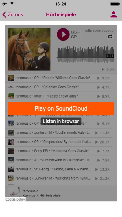 RARO MUSIC screenshot-4