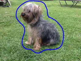 Game screenshot Collages Maker hack