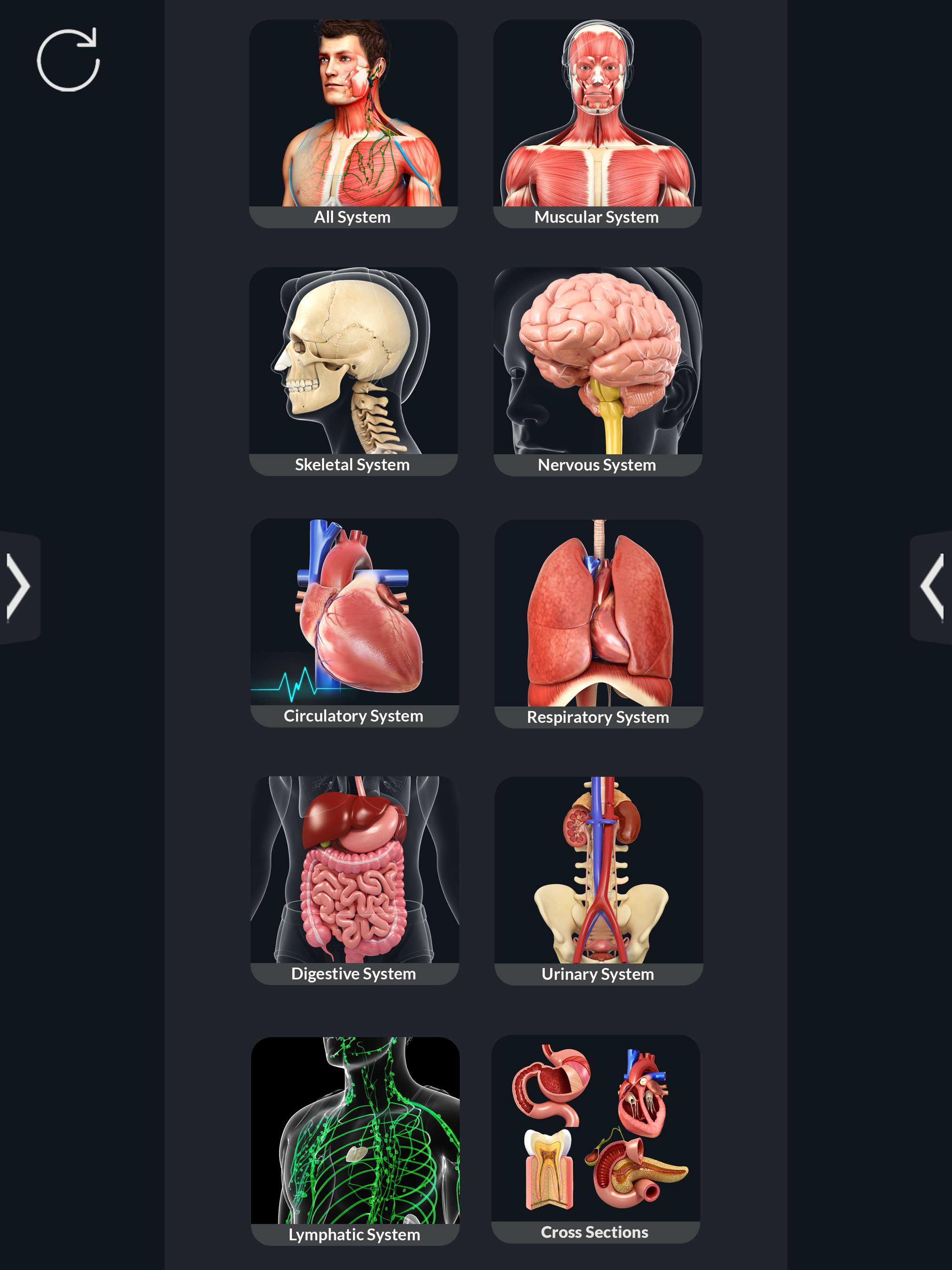 AR Human Anatomy