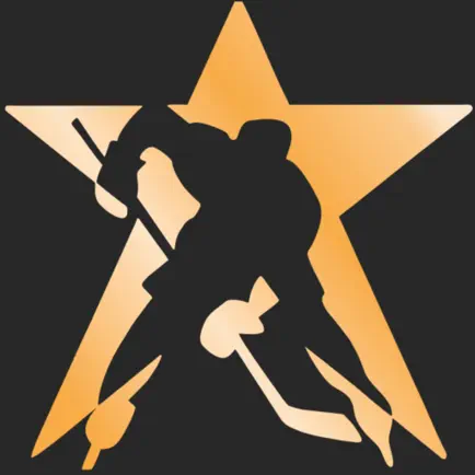 Star Shadow: фэнтези хоккей Читы