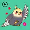 Animated Lovely Cockatiel Bird delete, cancel