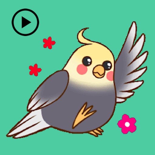 Animated Lovely Cockatiel Bird icon