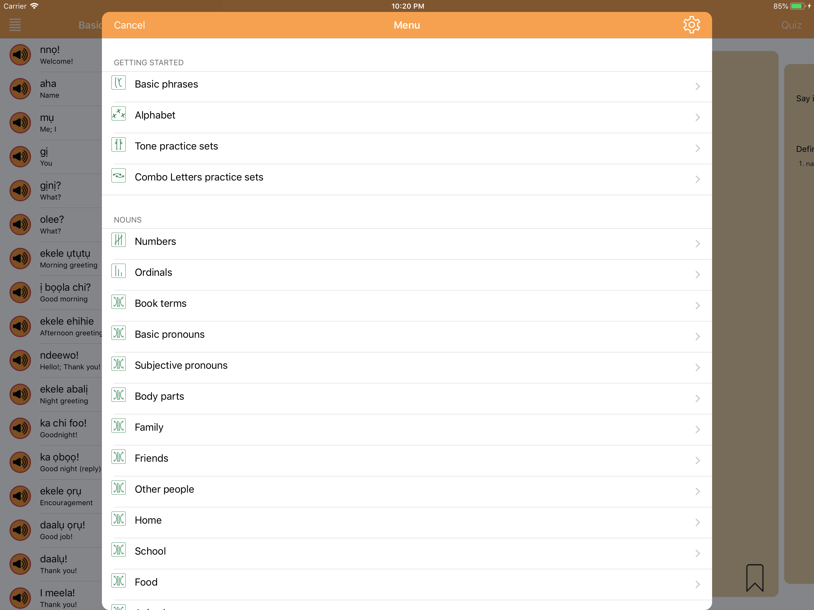 iSabi™ Igbo+ screenshot 11