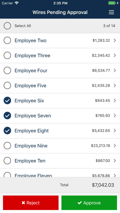 Meadows Bank Treasury Screenshot