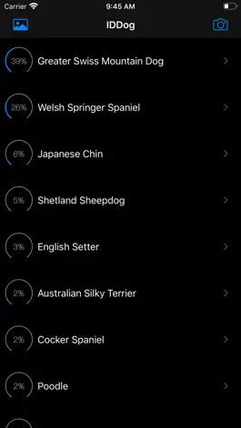 Game screenshot IDDog hack