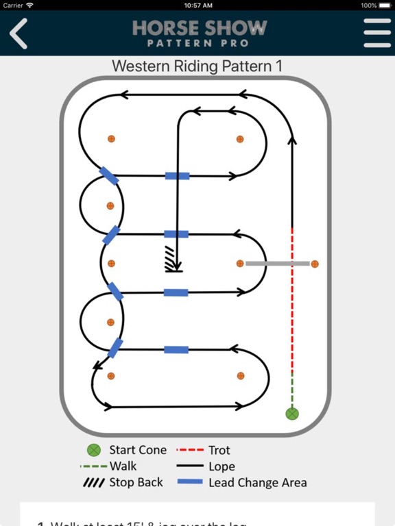 Horse Show Pattern Pro iPad screenshot 4 - Sports app