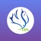 With the Kristus Aman app, you can experience church anywhere