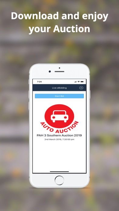 PAH AutoAuction Screenshot