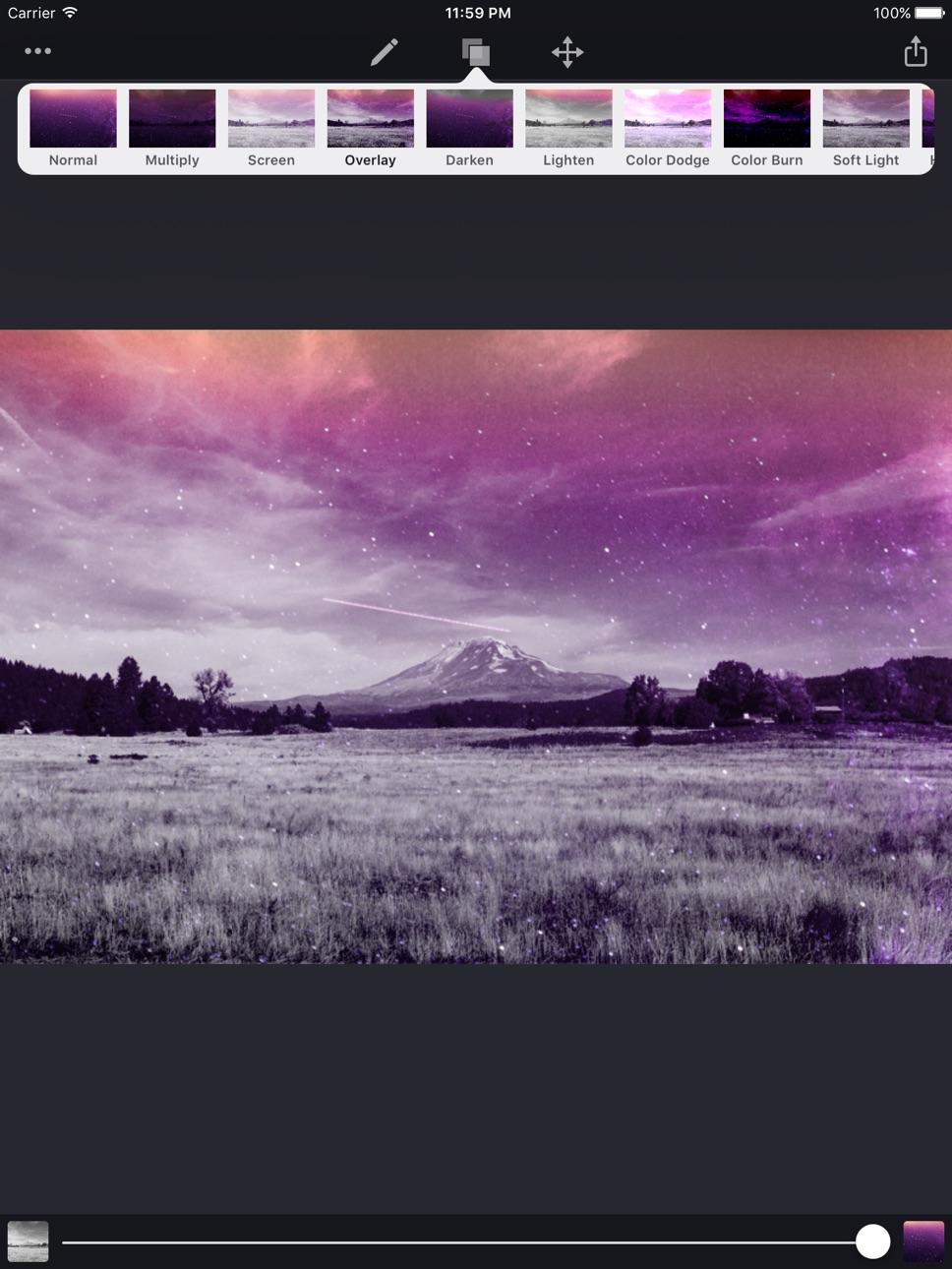 iPad screenshot