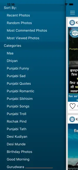 Game screenshot PunjabiDharti apk