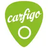 Carfigo App Feedback