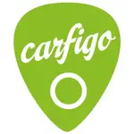 Carfigo App Contact