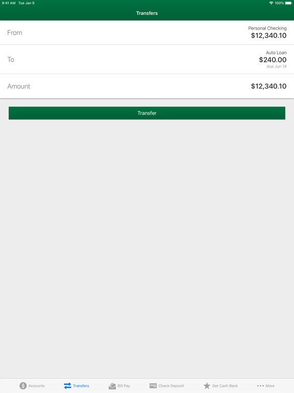 BFG Federal Credit Union iPad screenshot 4 - Finance app