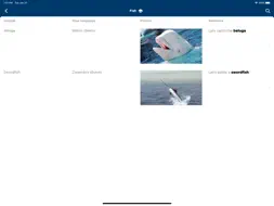ISH Picture Dictionary screenshot 3