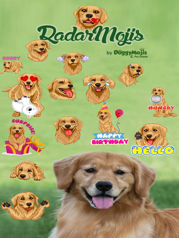 Screenshot #4 pour RadarMojis - Golden Retriever