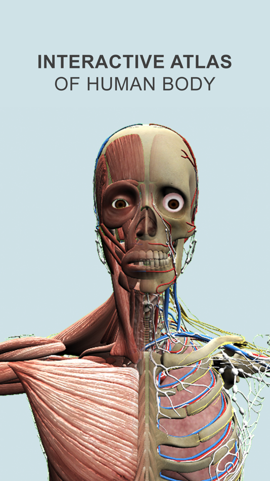 Explain 3D: Human body LITE - 1.1 - (iOS)