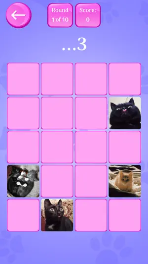 Cute Cats Memory Match Game screenshot 3