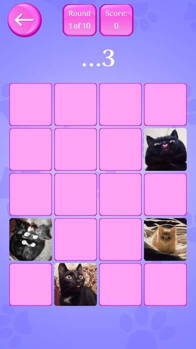Cute Cats Memory Match Game Screenshot