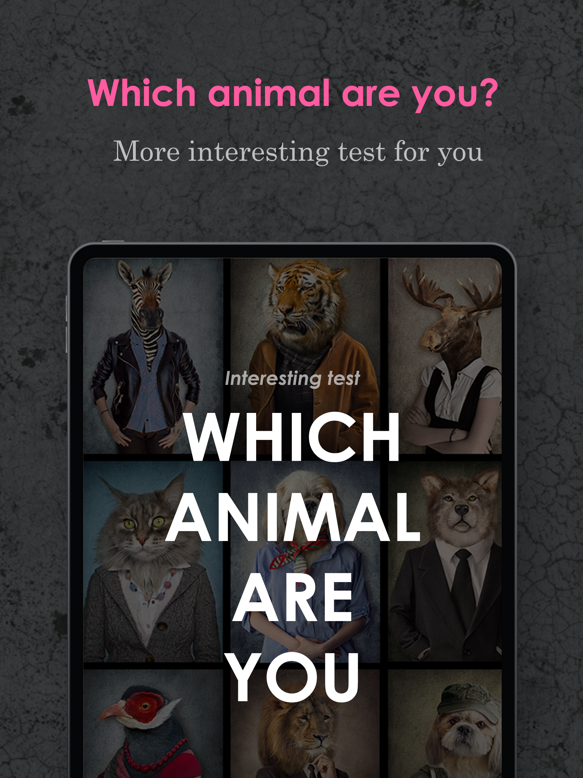 Animal, Hidden Power, Dog Test