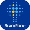 BlackRock Insights