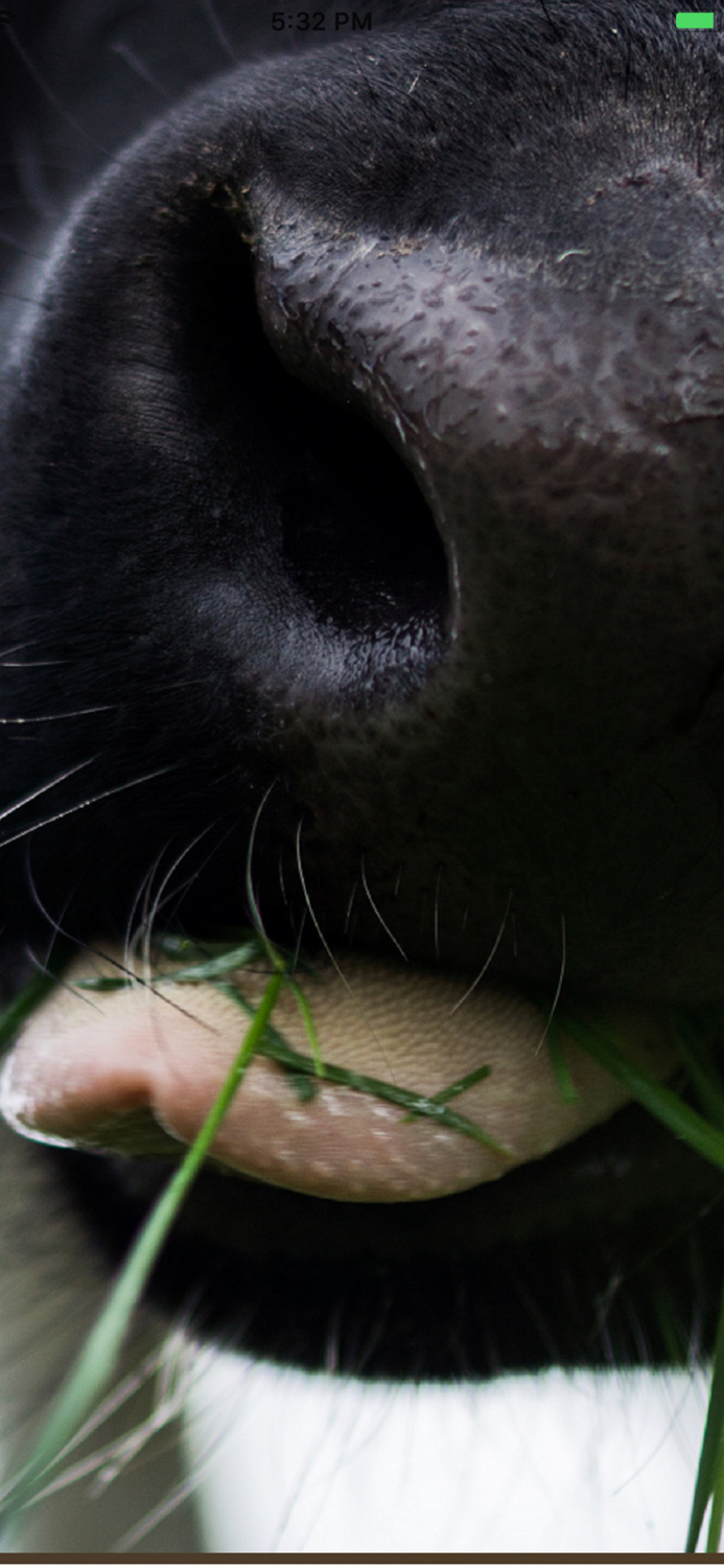 Alfco Drafting Gates