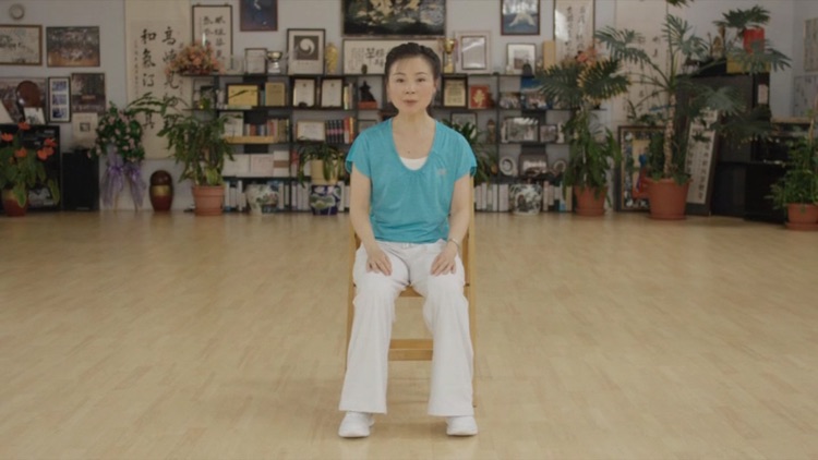 Qigong for Cancer (YMAA) screenshot-3