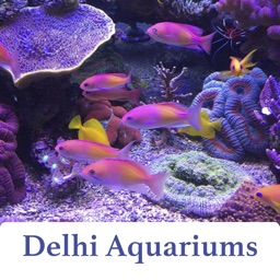 Delhi Aquariums