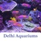 Delhi Aquariums App is free to use and provides collection of Delhi Aquariums