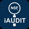 iAudit