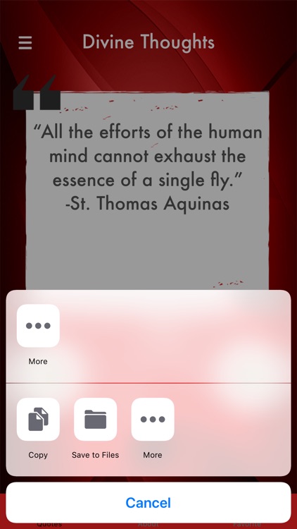 Divine Thoughts screenshot-3