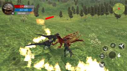 Flying Dragon's Life Simulator Screenshot