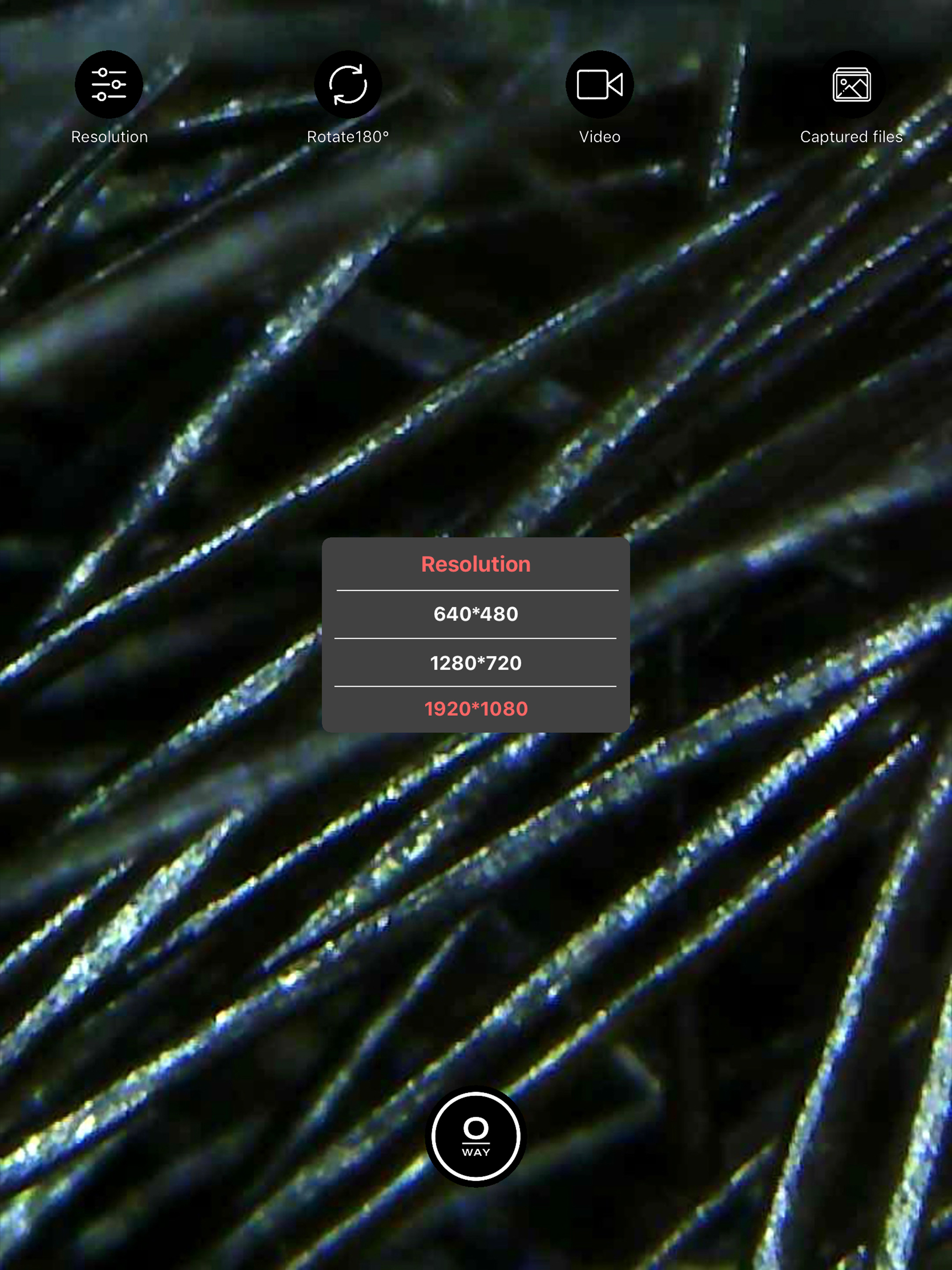 Tricho-derm profiler