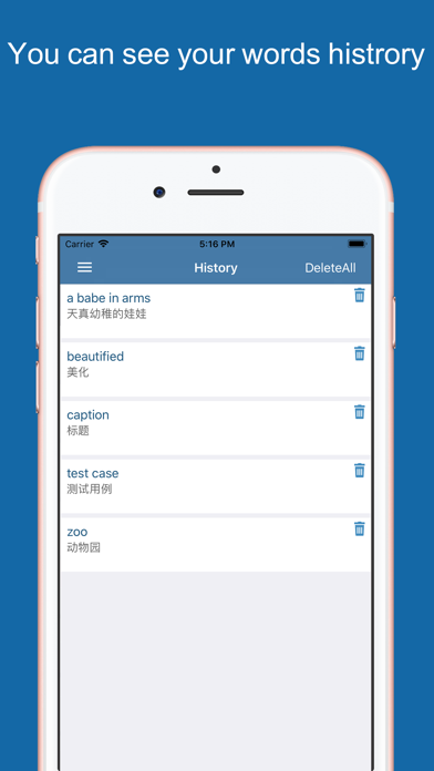 Chinese Dictionary Advance Screenshot