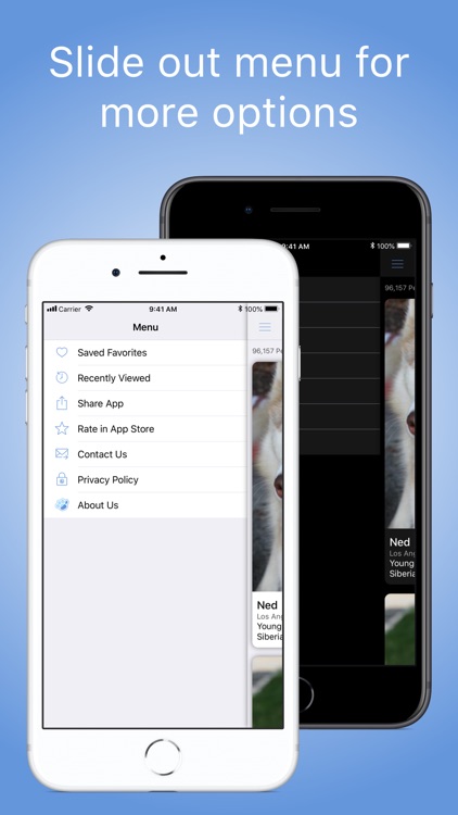 PetView360: Find & Adopt a Pet screenshot-5