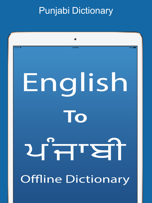Screenshot #4 pour Punjabi Dictionary &Translator