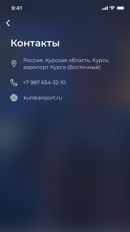 Курск Аэро screenshot-3