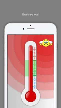 Voice Meter Pro iPhone image 3