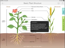 Game screenshot Focus on Plant apk