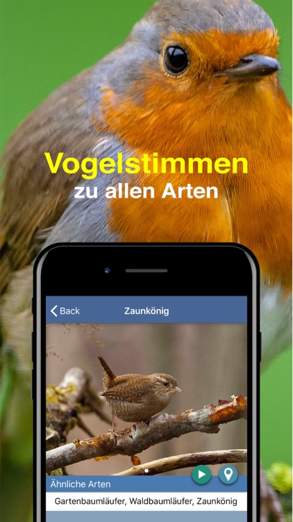 Bird Id - Garden Birds Germany screenshot-5